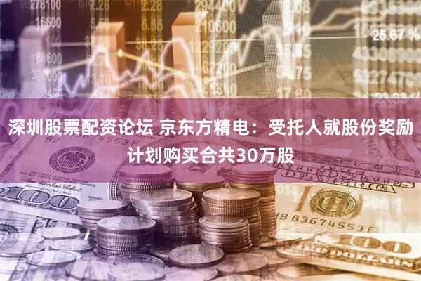 深圳股票配资论坛 京东方精电：受托人就股份奖励计划购买合共30万股