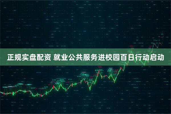 正规实盘配资 就业公共服务进校园百日行动启动