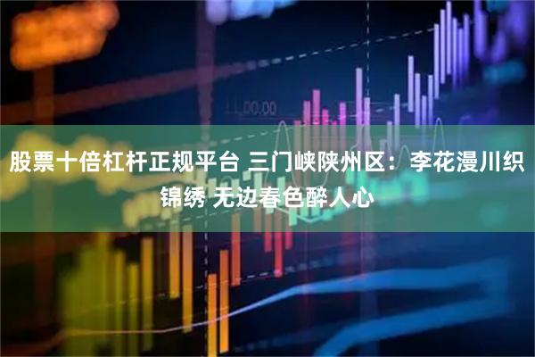 股票十倍杠杆正规平台 三门峡陕州区：李花漫川织锦绣 无边春色醉人心