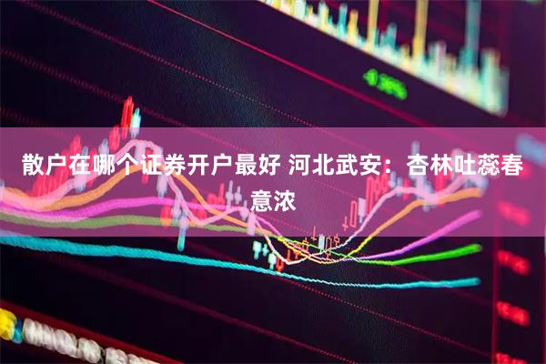 散户在哪个证券开户最好 河北武安：杏林吐蕊春意浓