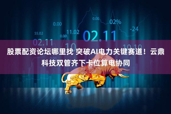 股票配资论坛哪里找 突破AI电力关键赛道！云鼎科技双管齐下卡位算电协同